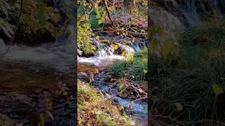 Banja Vidrište 🇷🇸 #shortsfeed #nature #spa  #shortvideo