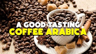 A Good Tasting Coffee Arabica