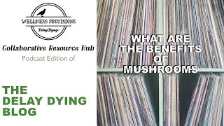 What Are The Benefits of Mushrooms | Delay Dying Blog: Podcast Ed. | Reishi Chaga Facts Tips Health