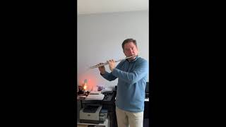 Improvisation N°75 « Elegy » for Solo Flute