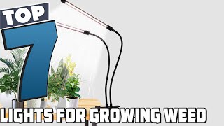 Top 7 Lights for Growing Weed in 2024: Expert Picks!