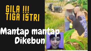 Tiga istri di kebun ngapain???