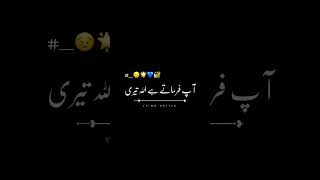 Ajmal Raza Qadri | Islamic poetry | Black screen status islamic | Urdu lyrics #trending #shortfeed