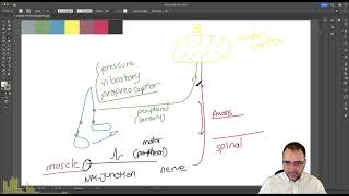 Normal structure and function 1