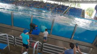 Brayden at Seaworld