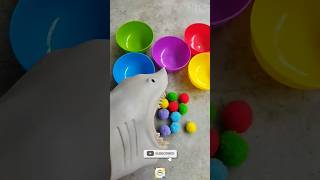 shark puppet playing rainbow balls 🔴🔵🟠🟡🟢