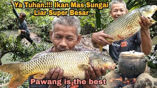 Ya Tuhan.!!! Akhirnya Ikan Mas Liar Super Besar di Tombak || Pawang is the Best