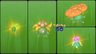 Pokemon Go: Evolving Shiny Oddish into Shiny Gloom and  Shiny Vileplume & Shiny Bellossom