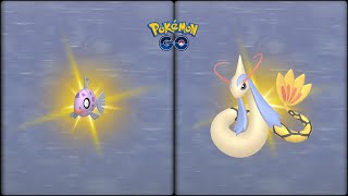 Pokemon Go: Evolving Normal & Shiny Feebas into Milotic