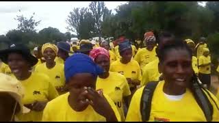 ZAPU ends 2022 in a high note in Plumtree.