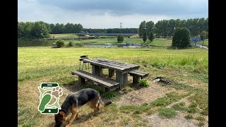 Losloopgebied Gelderse Hout te Lelystad