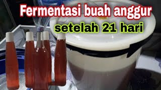 Fermentasi buah anggur setelah 21 hari