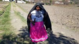 mujer de la mixteca bailando chilenas , san juan mixtepec región de la mixteca de oaxaca México