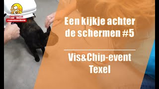 Een kijkje achter de schermen #5 - Vis & Chip Evenement Texel