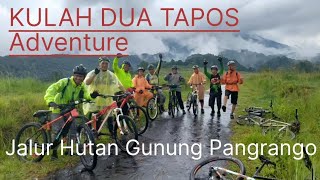 single trek Kulah Dua Tapos, jalur hutan Gunung Pangrango