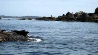 Bishop Rock Lighthouse and Seals