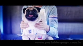 Nivea - "Guia Para O Primeiro Passo" - Comercial de TV - Propaganda com Pug