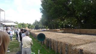 Max Papis at Goodwood Festival of Speed 2014  (2)