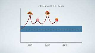 [Free Course] 07 03 How Often Do You Trigger Insulin