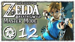 Breath of the Wild: Master Mode - PART 12 - Cliff diving...