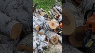 Sawing Firewood