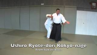 Suwari-waza Kokyu-nage Ushiro (Ryote-dori)