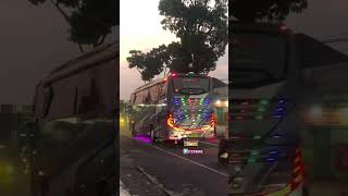 Bus Mode Malam Full Lampu #teloletbasuri #bisbasuri #buspariwisata #basuri #busmaniacomunity