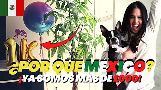 ¡¡¡YA SOMOS 1000!!! | ¿POR QUÉ VINE A MÉXICO? 🇲🇽