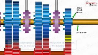 Transmission System of Automobile