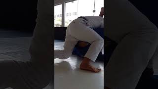 posição de jiu-jitsu