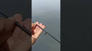 Hari minggu ga mancing rugi dongsss!!! #mancing #fishing #microfhising