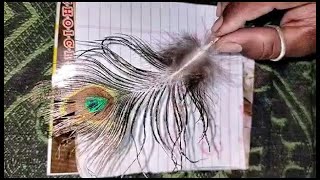 Peacock feather all test || Call me Sadab 8459487861