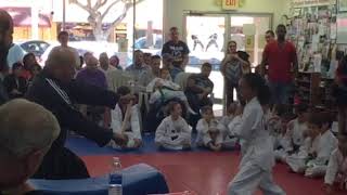 Taekwondo white belt wood breaking