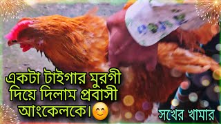 একটা টাইগার মুরগি দিয়ে দিলাম প্রবাসী আংকেলকে /  সখের টাইগার মুরগির খামার  / Village vlog video.