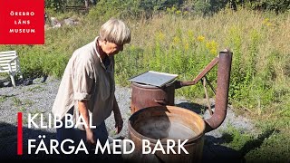 Klibbal – färga med bark