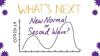 What’s Next With COVID-19: New Normal or Second Wave? - An Illustrated Summary