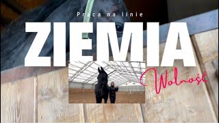 VLOG🐎|| Trening z ziemi na linie i na wolności | Jakie książki przyszły w paczce-unboxing.