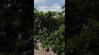 জেলা শিল্পকলা একাডেমি, দিনাজপুর !! #shorts  #ytshorts #travelogueshahin #viralvideo #tranding