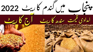 Wheat Support Price 2022 in Punjab | Wheat Price in Pakistan Today 2022 Wheat Rate per 40KG