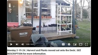 Monday 2-19-24 | Harvest and Plants moved out onto the Deck | SEE DESCRIPTION for more information.