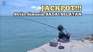 JACKPOT!!! Mancing Baronang dimusim BADAI SELATAN