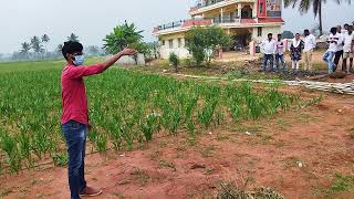 Drone based Spraying of Pesticide Demonstration Ramachandra Hosur RAWE Exhibition 08.11.21