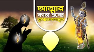 ৩০৮. আত্মার কাজ হচ্ছে কৃষ্ণভাবনামৃত || Caitanya Sandesh