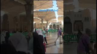 Masjid | Nabvi | 2023 #religion