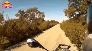 BMW G650GS - Entre Encinas y Alcornoques