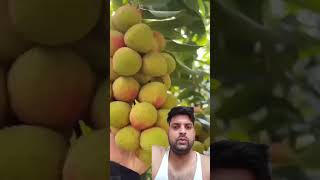 ab ye kya #lichi #apple #farmya #kisaan #tractor #subscribe #virel #shorts