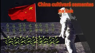 China cultivará sementes na Lua