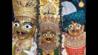 Vadtal Status || Vadtal dham Patotsav || dhany dhany te vadtal dham || Harikrishna Maharaj Status ||