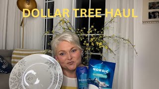 DOLLAR TREE HAUL…OH WHAT FINDS ❄️ ⛷️