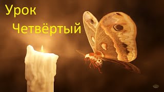 Немецкий Язык — Урок четвёртый